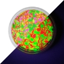 Picture of Vivid Glitter Loose Glitter - Ignite UV (25g)
