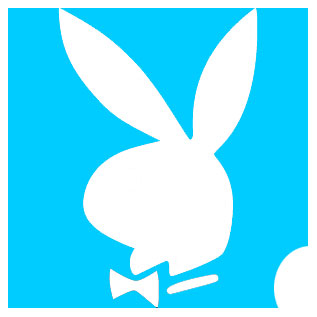 Picture of PlayBoy Stencil  (ABA) pack of 10