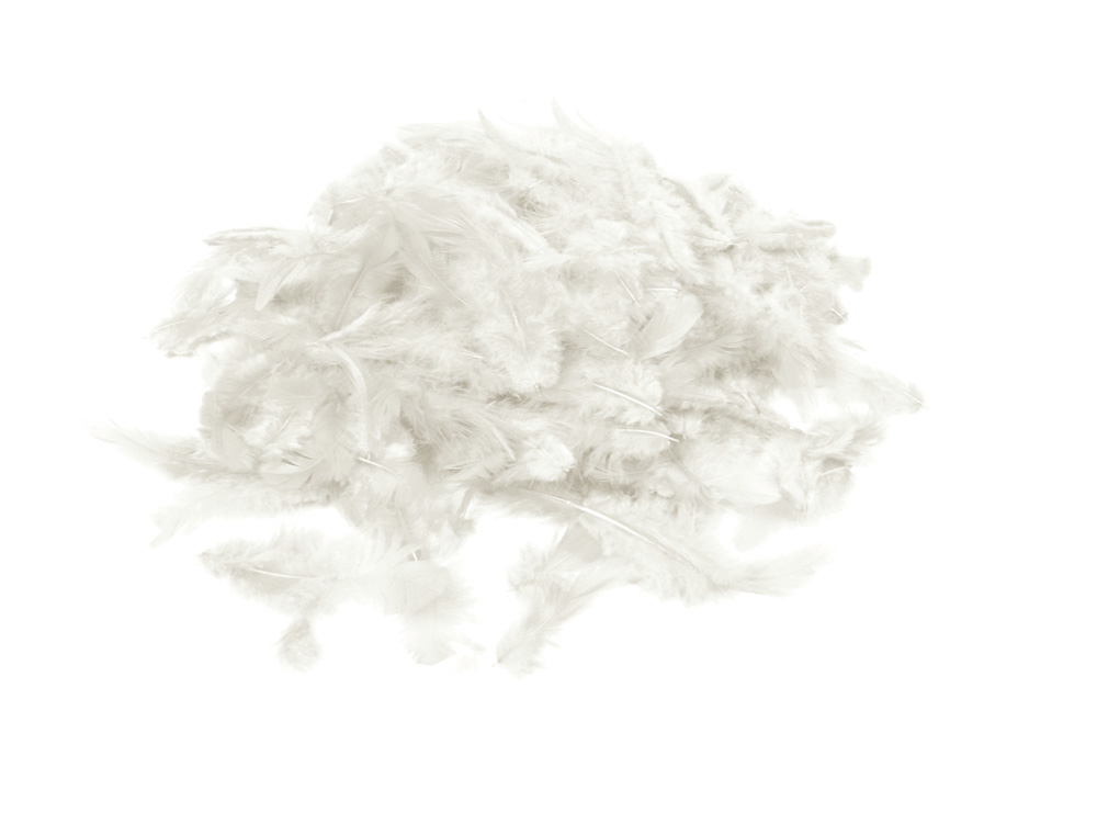Picture of Craft Medley - Decorative Feathers 12g - White (FC202H)