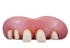 Picture of Billy Bob The Original Teeth