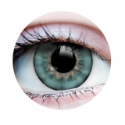 Picture of Primal Sunset Turquoise (Green Colored Contact Lenses) 509