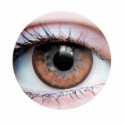Picture of Primal Twilight Hazel (Brown Colored Contact Lenses) 510