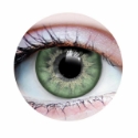 Picture of Primal Aurora Jade (Green Colored Contact Lenses) 527