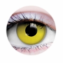 Picture of Primal Raven ( Yellow Colored Contact lenses ) 799