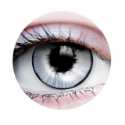 Picture of Primal Ghost ( Grey Colored Contact lenses ) 925