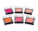Picture for category Powder Blushes