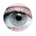 Picture of Primal Pure Ocean (Blue Colored Contact Lenses) 647